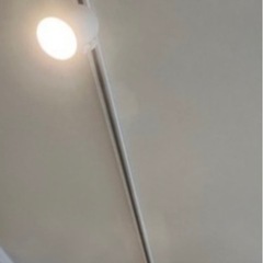 ペンダントライトの画像