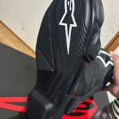 アルパインスターズブーツの画像