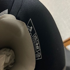 アルパインスターズブーツの画像