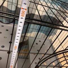 ほぼ未使用で元値の半額❗️猫用二段式ゲージの画像