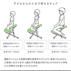 バランスチェア　プロポーションチェア　椅子　の画像