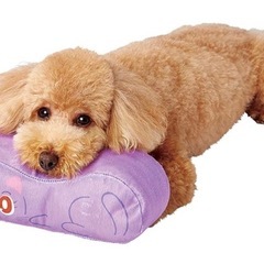 ペティオ　美少女戦士セーラームーン　あごまくら　ルナの画像