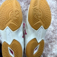 ミズノ 卓球シューズの画像