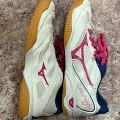 ミズノ 卓球シューズの画像