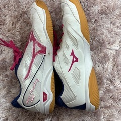 ミズノ 卓球シューズの画像