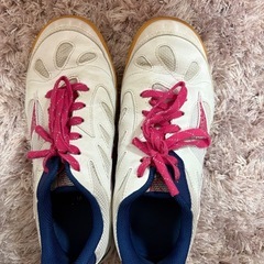 ミズノ 卓球シューズの画像