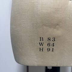 トルソーの画像