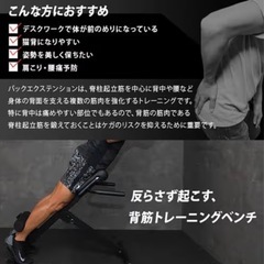 リーディングエッジ ベンチ　筋トレマシンの画像