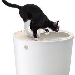 アイリスオーヤマ 猫 トイレ 本体 上から猫トイレ (飛び散らない) ホワイト レギュラーサイズの画像