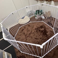 ペットサークル　犬　猫　室内飼いの画像