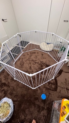 ペットサークル　犬　猫　室内飼い