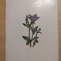 『愛と死』武者小路実篤　新潮文庫の画像