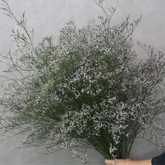 ブルーファンタジア　　hdの画像