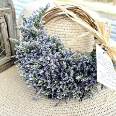 ブルーファンタジア　　hdの画像