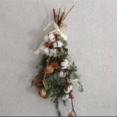 コットンフラワー　　ujの画像