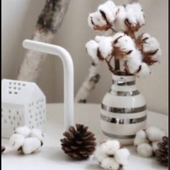 コットンフラワー　　ujの画像