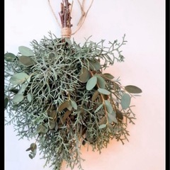 ブルーアイス　hkの画像