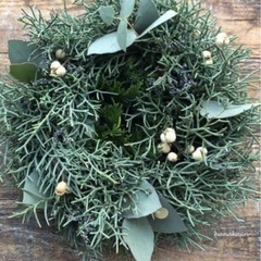 ブルーアイス　hkの画像