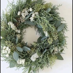 ブルーアイス　hkの画像