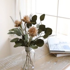 リューカ　　qjの画像