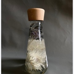 シンカルファmjの画像