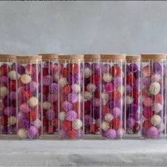 千日紅　hmの画像