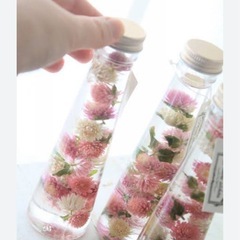 千日紅　hmの画像