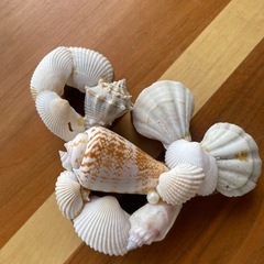 マリンテイスト　インテリア　海　5点セット　ハンドメイドの画像