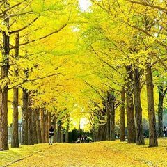 カラオケ友達募集🎤