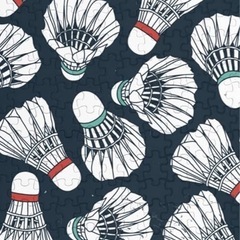 11月16日バドミントンだらけ開催します🏸