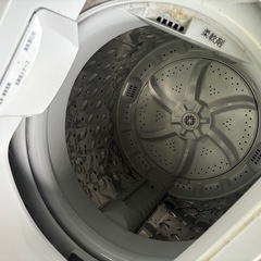 【15or16日引渡し】洗濯機　IAW-T501　アイリスオーヤマの画像