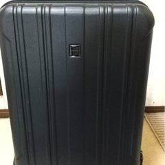 一度使用 キャリーケース 【黒】の画像