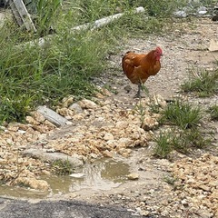便利屋代行請負業者様募集致します。