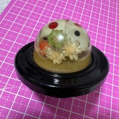 レア？ 水中花 ホーンボタンの画像