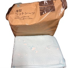 犬 ドッグフード ペットシーツ お散歩グッズ ご飯 の画像