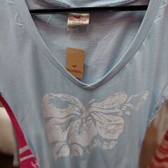 Hollister  tshirtの画像