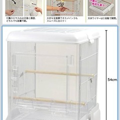 鳥かごの画像