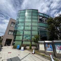 ハワイアン🌺フラの画像