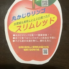 丸かじりリンゴ「スリムレッド」の画像