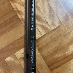 アブガルシア　ソルティスタイル　ショアジギング　ベイトモデルの画像