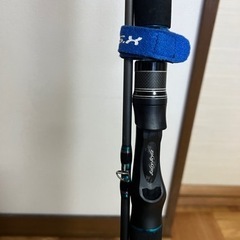 アブガルシア　ソルティスタイル　ショアジギング　ベイトモデルの画像