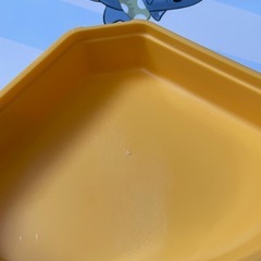 ハムスター用品 砂浴び場の画像