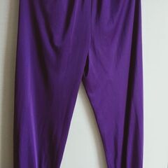 パープルの衣装上下セット(フリーサイズ)の画像