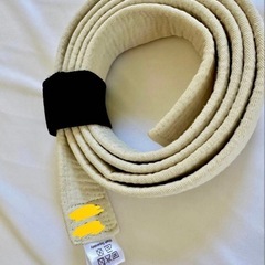 空手道着　一式セット★バラ売り可★小学生 子どもの画像