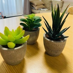 フェイクグリーンの画像