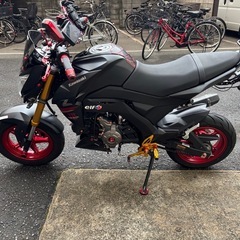 kawasaki z125pro車体の画像