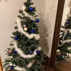 クリスマスツリーの画像