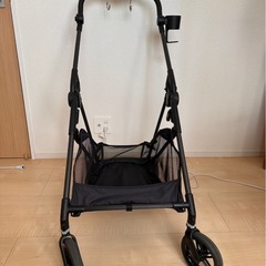 サイベックス　メリオカーボン　シェルべーじゆベージュ　の画像