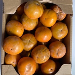 小さい柿の画像