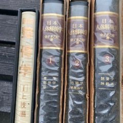 接骨院・整骨院　本セットの画像